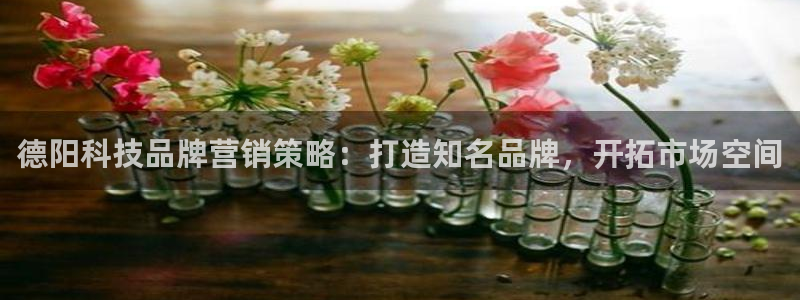 金年会体育官方入口