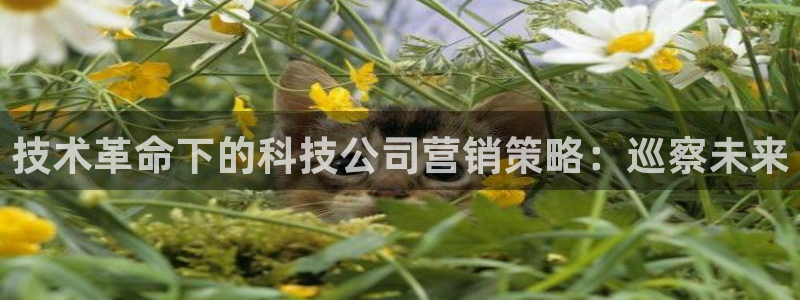 金年会下载地址