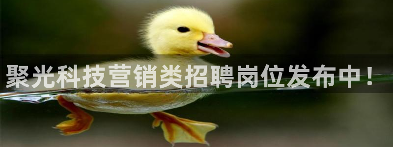 金年会金字招牌网址