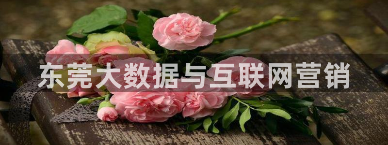 金年会体育