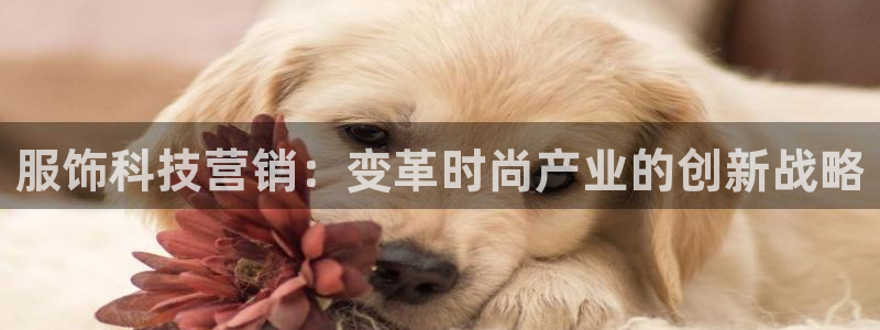 jinnianhui金年会官网