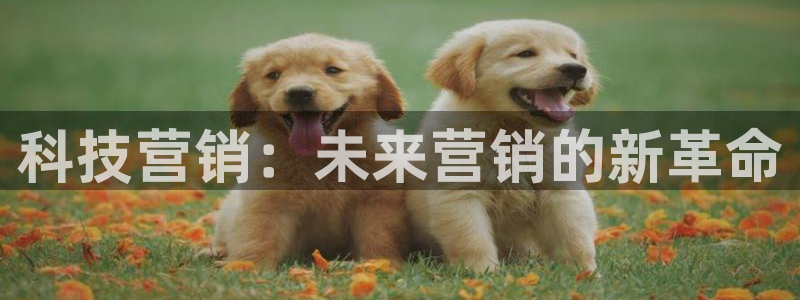 金年会平台真他妈坑人