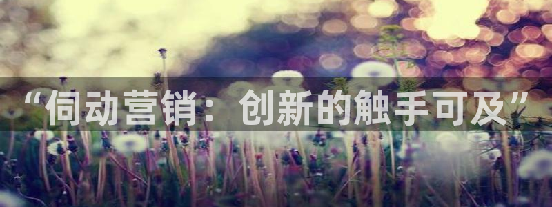 金年会体育网app下载