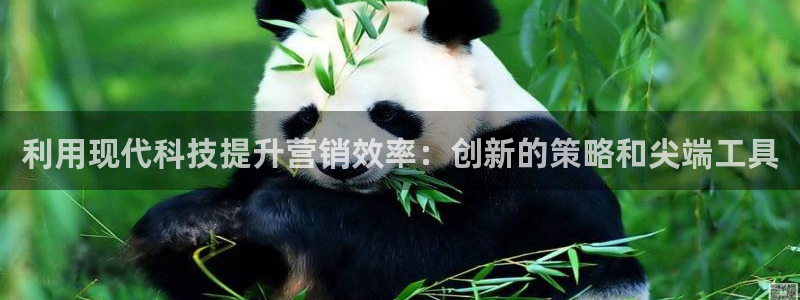金年会登录网址
