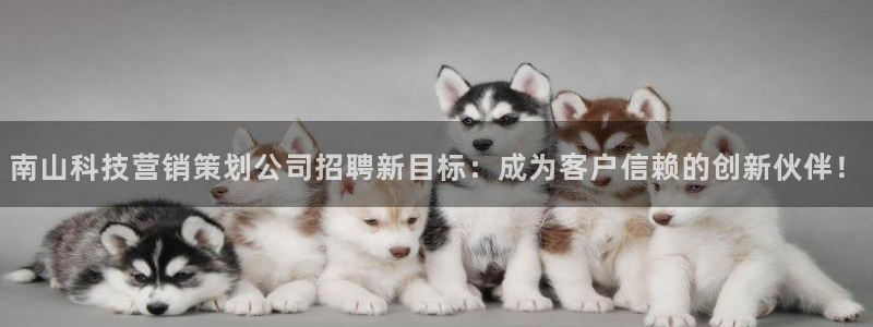 金年会今年会官方在线登录