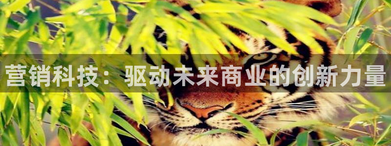 金年会金字招牌诚信至上龙年