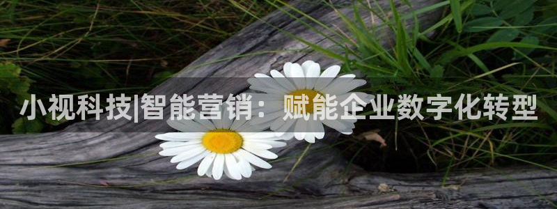 金年会手机版官方下载