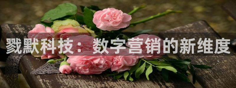 金年会ivp