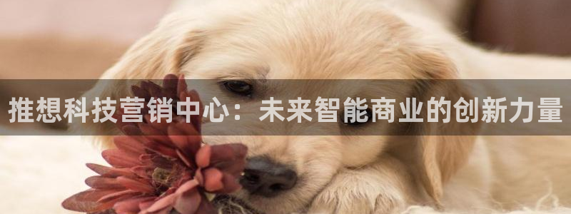 金年会体育查处