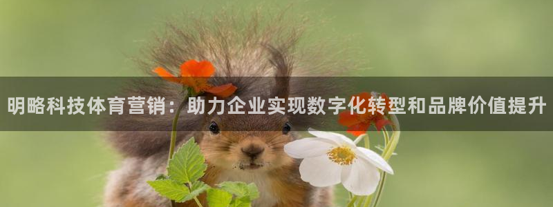 金年会los版下载