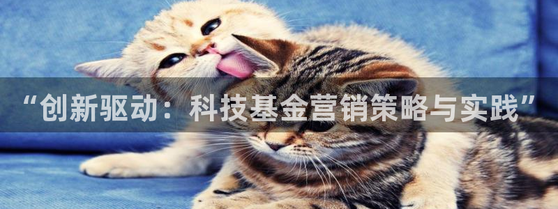 金年会平台怎么样