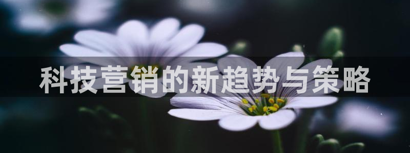 金年会体育官方app下载安卓