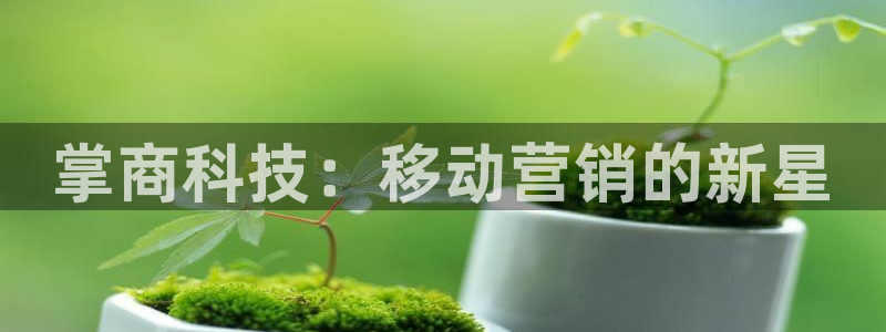 金年会app登录官网入口