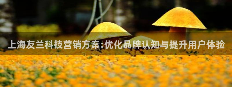 金年会网站平台怎么样