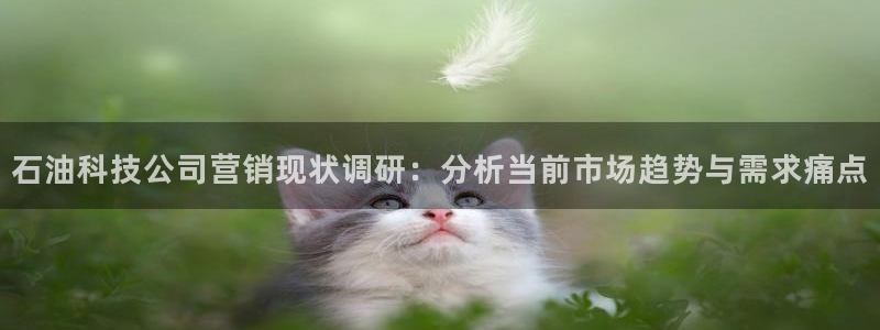 金年会官方在线入口网址是多少号