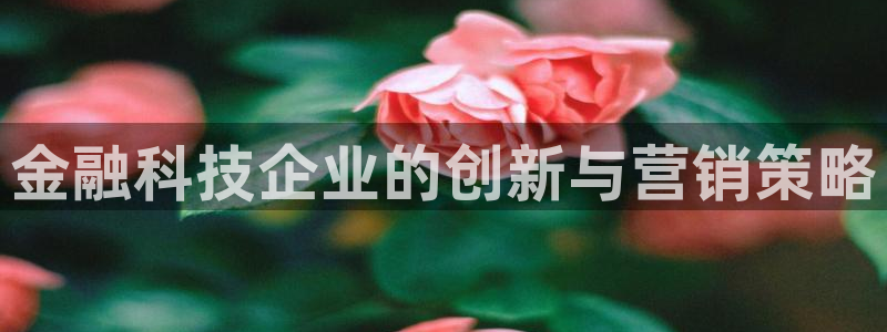金年会官方下载入口手机版
