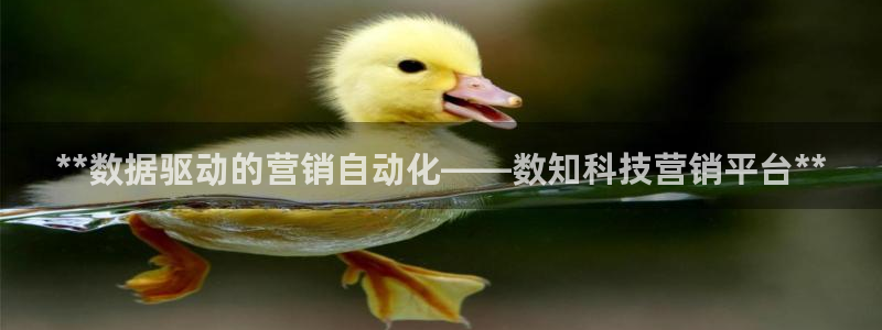金年会网站洗黑钱