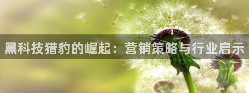 金年会能赢吗