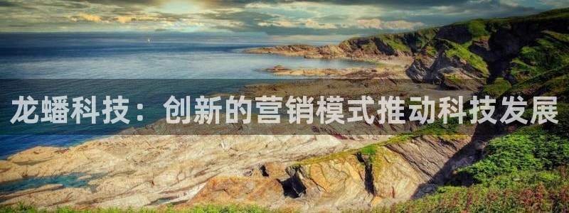 金年会网站下载