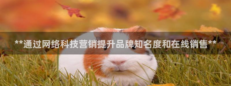 金年会电子游