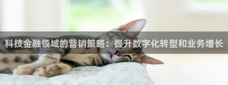 金年会官方体育登陆入口