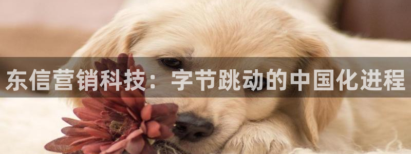 金年会体育app最新官网入口