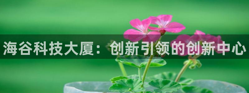 金年会体育app下载官网安卓手机
