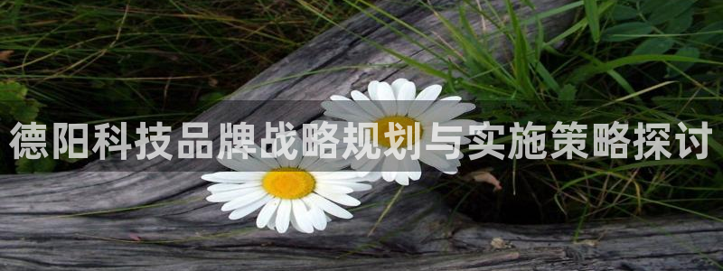 金年会网站洗黑钱