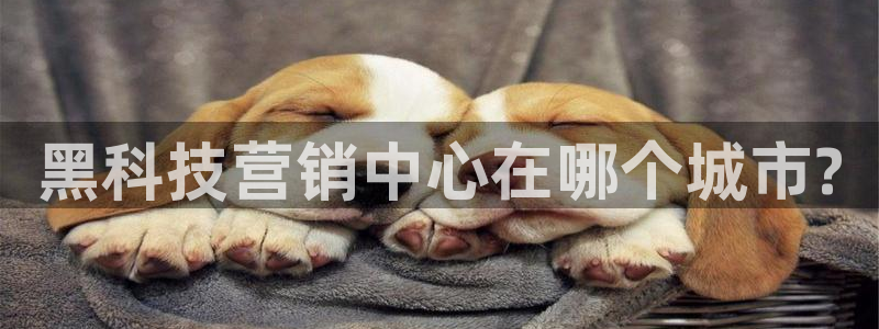 金年会金字招牌登录入口评测