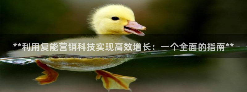 金年会体育app平台怎么样