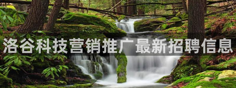 金年会体育app下载官网安卓版