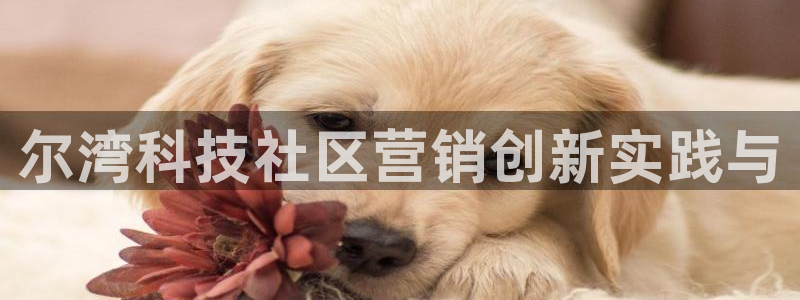 金年会APP官网下载