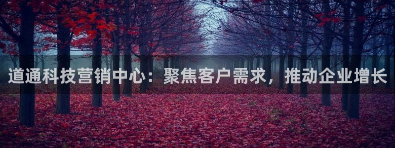 金年会体育出款审核七天