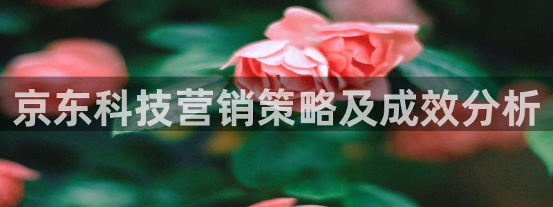 金年会VIP