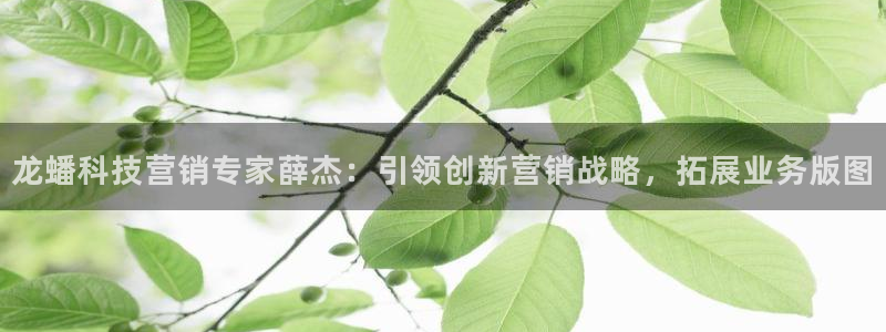金年会官方网站登录网址是多少