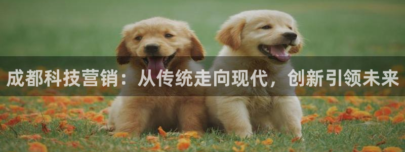 金年会信誉至上