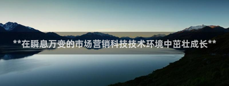 金年会电子官网下载