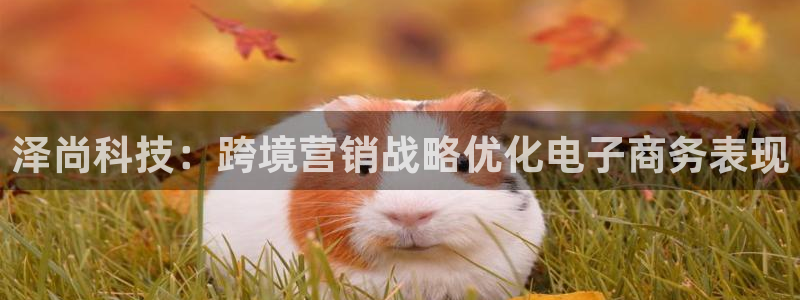 金年会jinnianhui