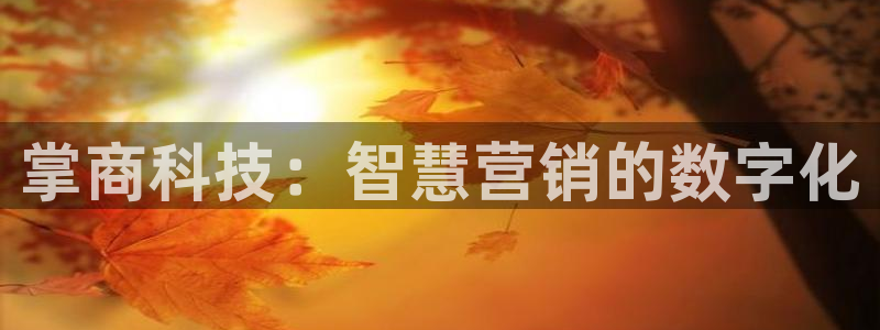 金年会体育论坛官网