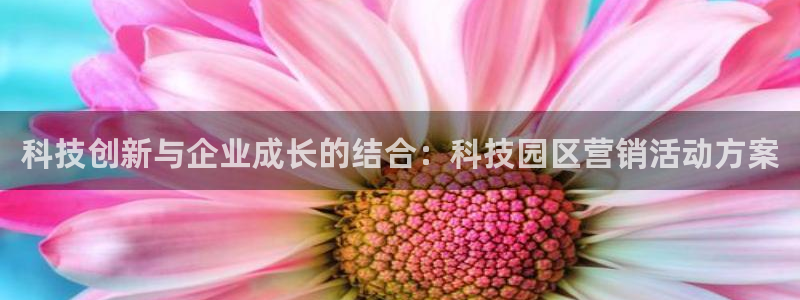 金年会在线入口2023