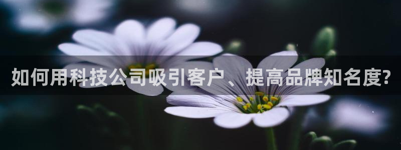 金年会入口网站
