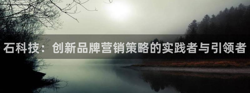 金年会体育网站