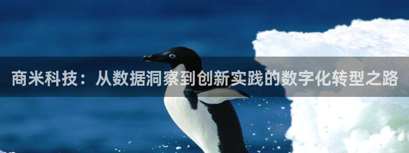 金年会电子游戏app