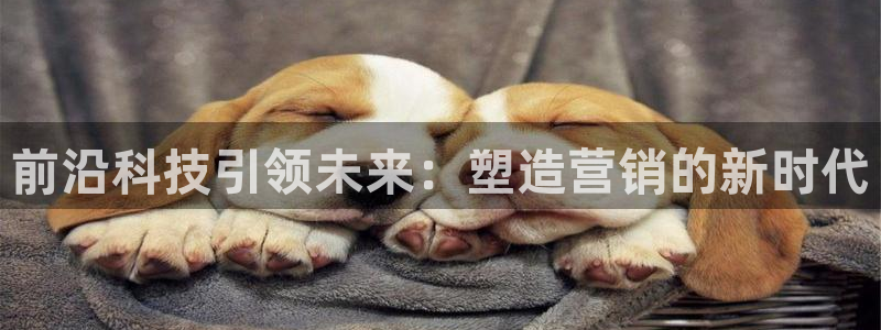 金年会体育入口