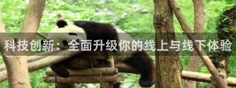 金年会官方平台官网
