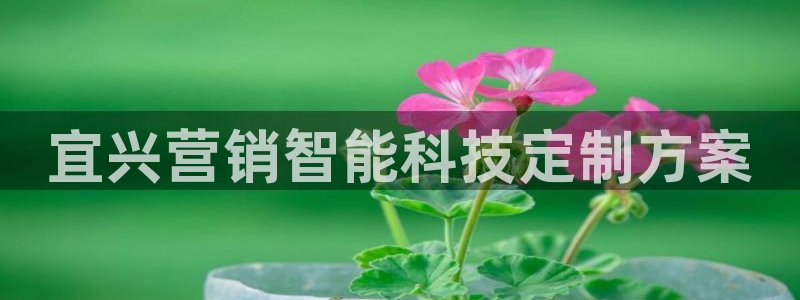 金年会体育app