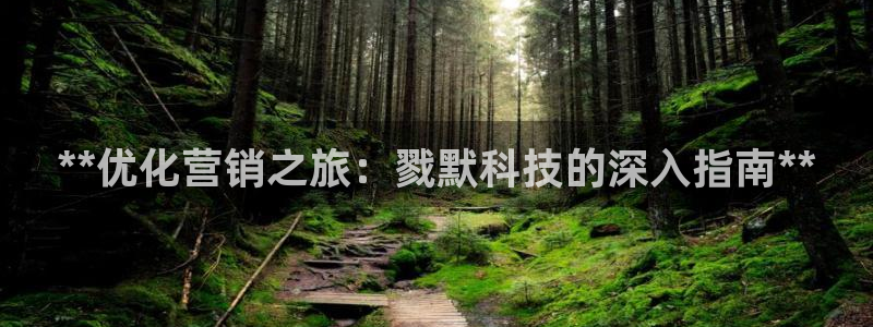 金年会VIP