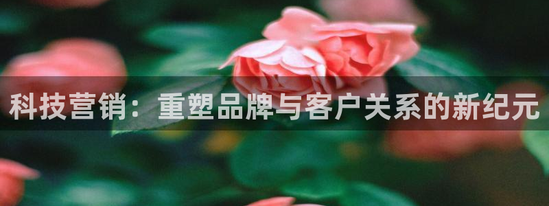 金年会网址导航在线播放