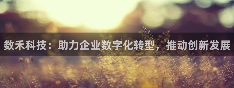 金年会网站