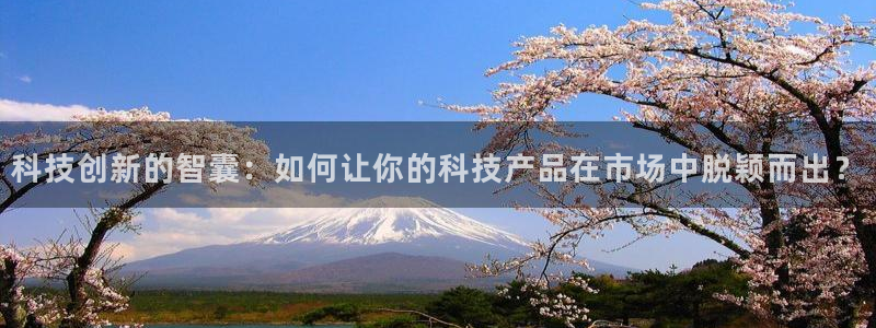 金年会官方网站登录网址是多少